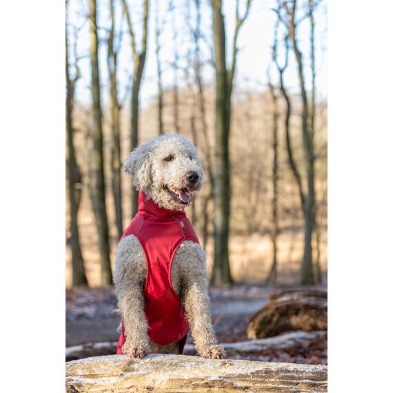 TRIXIE Vimy Regenmantel für Hunde, rot, Größe M – Bauchumfang: 44–63 cm – Regenmantel für Hunde mit reflektierenden Elementen für bessere Sichtbarkeit im Dunkeln – bequem und verstellbar – 680224