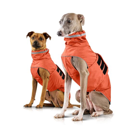 ZAUBERPFOTE® Hunderegenmantel London I Mit extra langem YKK® Reißverschluss für Halsband & Geschirr I Für kleine, mittlere & große Hunde I Wasserdicht & Maschinenwaschbar I Regenmantel für Hunde (55)
