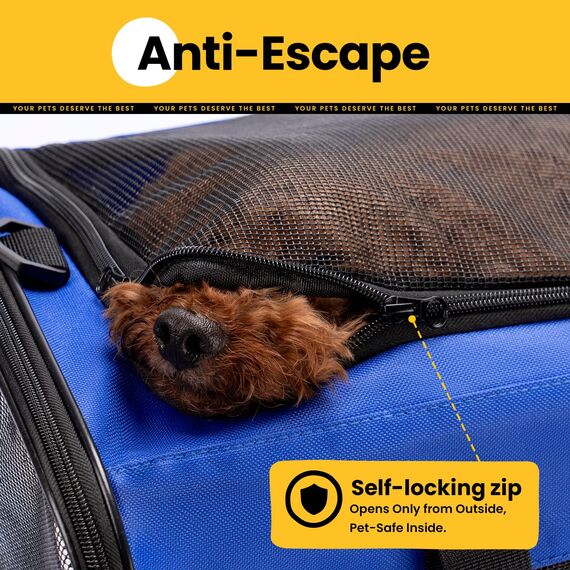 Conlun Hundetransporttasche – Weichwandige Tragetasche mit 4-Seitigem Mesh für Kleine Hunde & Große Katzen bis 9kg, Klappbare Reisetasche mit Atmungsaktivem Design in Größe L-Blau
