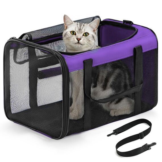 Conlun Katzentransportbox,Weiche Katzentransporttasche mit 4-seitigem Netz, Flugzeugtaugliche Katzentasche für Kleine&Mittelgroße Katze Kätzchen Welpen bis 6 Kg, Hundetransportbox Faltbar-M, Lila
