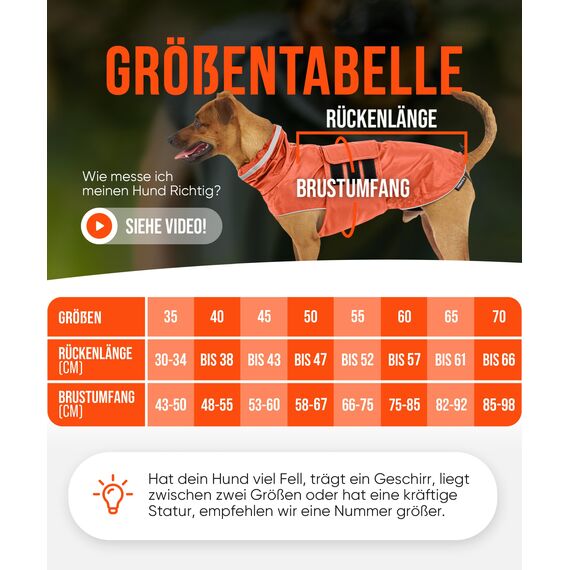 ZAUBERPFOTE® Hunderegenmantel London I Mit extra langem YKK® Reißverschluss für Halsband & Geschirr I Für kleine, mittlere & große Hunde I Wasserdicht & Maschinenwaschbar I Regenmantel für Hunde (45)