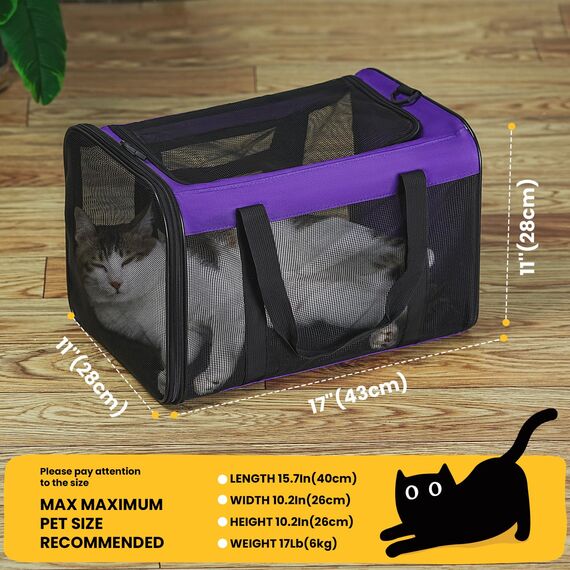 Conlun Katzentransportbox,Weiche Katzentransporttasche mit 4-seitigem Netz, Flugzeugtaugliche Katzentasche für Kleine&Mittelgroße Katze Kätzchen Welpen bis 6 Kg, Hundetransportbox Faltbar-M, Lila