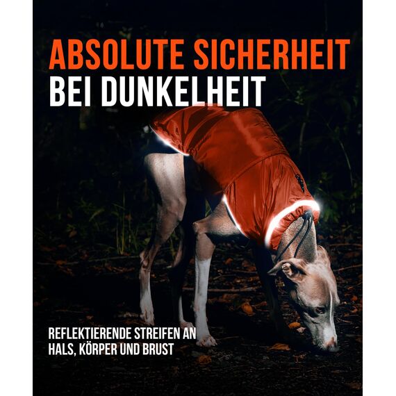 ZAUBERPFOTE® Hunderegenmantel London I Mit extra langem YKK® Reißverschluss für Halsband & Geschirr I Für kleine, mittlere & große Hunde I Wasserdicht & Maschinenwaschbar I Regenmantel für Hunde (45)