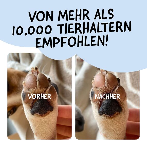 Belly® Pfotenbalsam Hund -50ml- Pfotenpflege für Hunde im Winter - Pfotenbalsam für Hunde bei Schnee, EIS & Streusalz - Hundepfoten Balsam - Pfotenpflege Hund