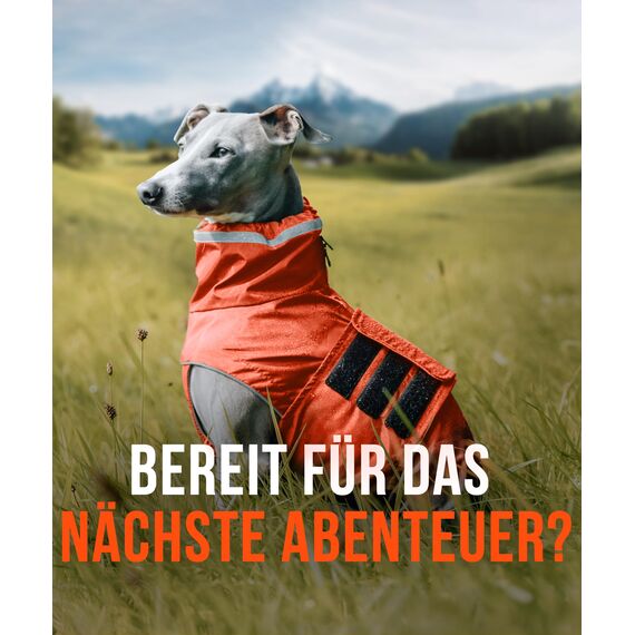 ZAUBERPFOTE® Hunderegenmantel London I Mit extra langem YKK® Reißverschluss für Halsband & Geschirr I Für kleine, mittlere & große Hunde I Wasserdicht & Maschinenwaschbar I Regenmantel für Hunde (50)
