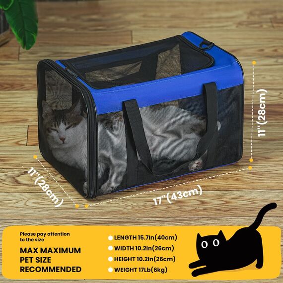 Conlun Katzentransportbox,Weiche Katzentransporttasche mit 4-seitigem Netz, Flugzeugtaugliche Katzentasche für Kleine&Mittelgroße Katze Kätzchen Welpen bis 6 Kg, Hundetransportbox Faltbar-M, Blau