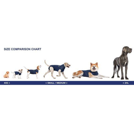 MPS Medical Pet Shirt, Blau, für mittelgroße Hunde, M