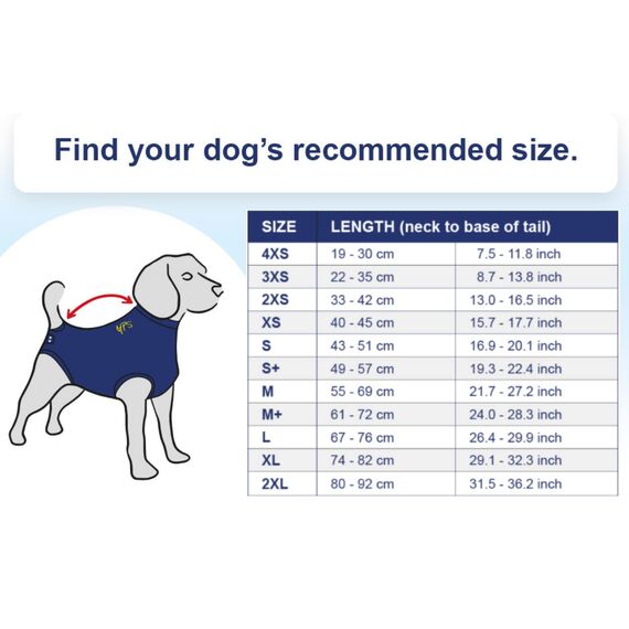 MPS Medical Pet Shirt, Blau, für mittelgroße Hunde, M