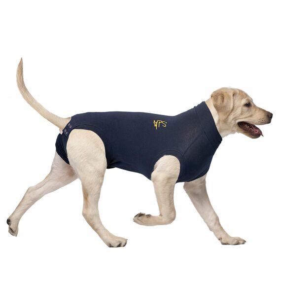 MPS Medical Pet Shirt, Blau, für mittelgroße Hunde, M