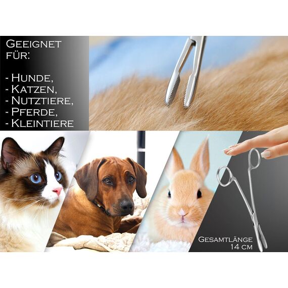 Zupfzange für Hundeohren Haarzange Hunde Haarzupfzange Tierhaar-Entferner Edelstahl Rostfrei mit Innenzahnung ohne Sperre in Profi-Qualität (14 cm)