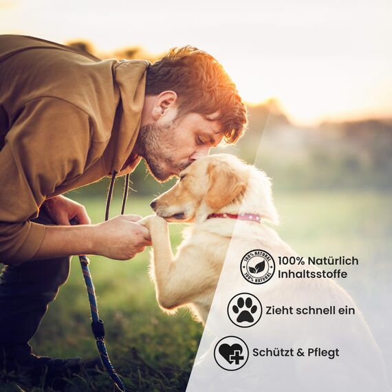 Animal Vita® Pfotenbalsam 100ml für Hunde und Katzen [mit Bienenwachs] 100% natürliche Inhaltsstoffe - Pflegt rissige und spröde Pfoten - Natürliche Pfotenpflege - Nasenbalsam ohne Parfüm