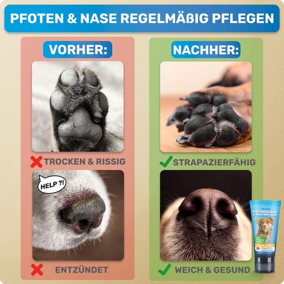 BluePet Pfotenbalsam Hund 50ml – Pfotenpflege Hund gegen trockene & rissige Pfoten und Nase – Natürlicher Schutz & Pflegebalsam für Hunde