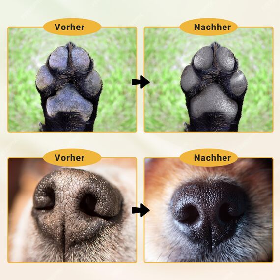 Animal Vita® Pfotenbalsam 100ml für Hunde und Katzen [mit Bienenwachs] 100% natürliche Inhaltsstoffe - Pflegt rissige und spröde Pfoten - Natürliche Pfotenpflege - Nasenbalsam ohne Parfüm