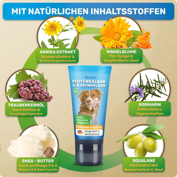 BluePet Pfotenbalsam Hund 50ml – Pfotenpflege Hund gegen trockene & rissige Pfoten und Nase – Natürlicher Schutz & Pflegebalsam für Hunde