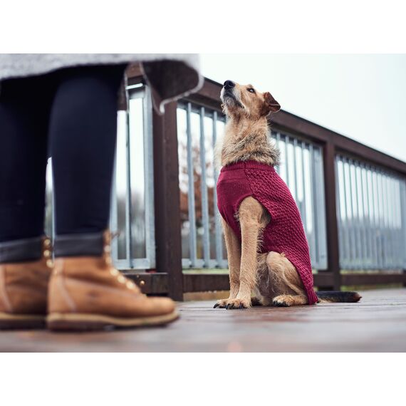HUNTER Hundepullover MALMÖ, Farbe: bordeaux, klassisches Zopfstrick-Muster, wärmend & bequem, elastisch für optimalen Sitz, reflektierend für mehr Sichtbarkeit, waschbar bei 30°C, Größe: 25