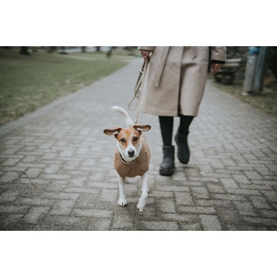 HUNTER Hundepullover MALMÖ, Farbe: beige, klassisches Zopfstrick-Muster, wärmend & bequem, elastisch für optimalen Sitz, reflektierend für mehr Sichtbarkeit, waschbar bei 30°C, Größe: 35