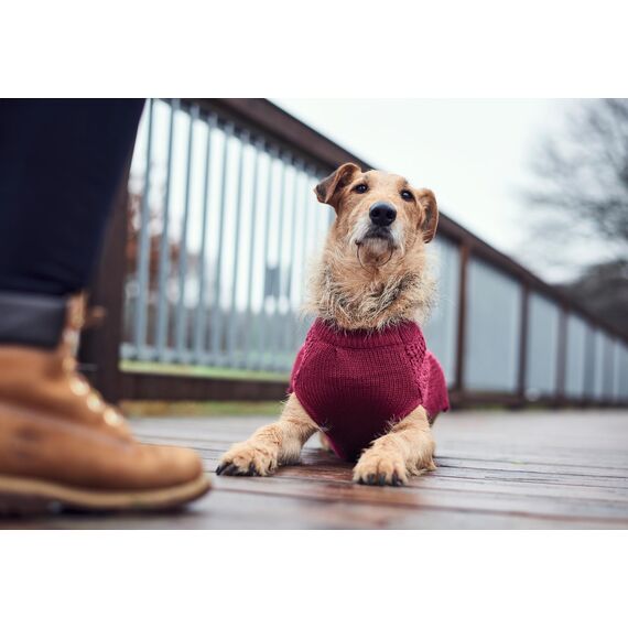 HUNTER Hundepullover MALMÖ, Farbe: bordeaux, klassisches Zopfstrick-Muster, wärmend & bequem, elastisch für optimalen Sitz, reflektierend für mehr Sichtbarkeit, waschbar bei 30°C, Größe: 45