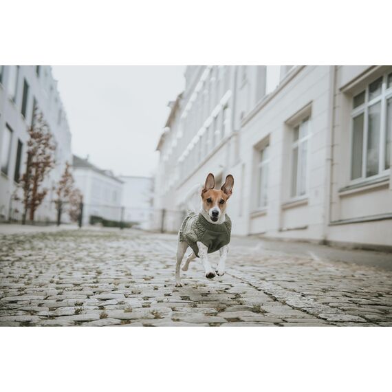 Hunter Hundepullover MALMÖ, Farbe: Khaki, klassisches Zopfstrick-Muster, wärmend & bequem, elastisch für optimalen Sitz, reflektierend für mehr Sichtbarkeit, waschbar bei 30°C, Größe: 35