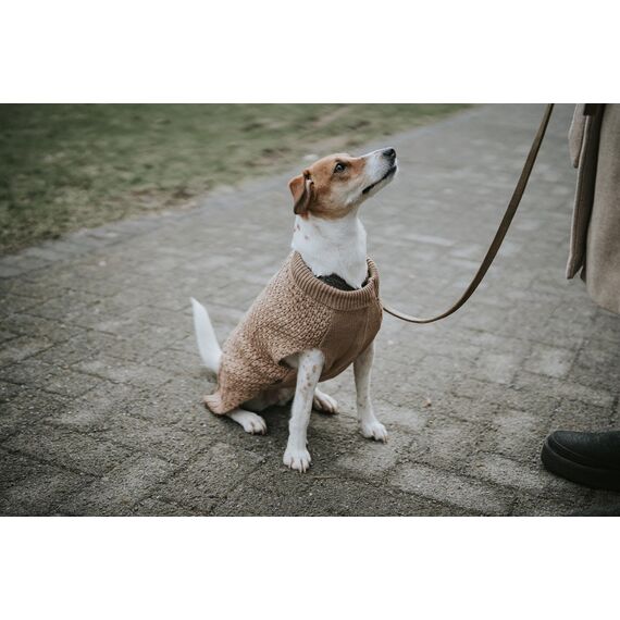 HUNTER Hundepullover MALMÖ, Farbe: beige, klassisches Zopfstrick-Muster, wärmend & bequem, elastisch für optimalen Sitz, reflektierend für mehr Sichtbarkeit, waschbar bei 30°C, Größe: 30