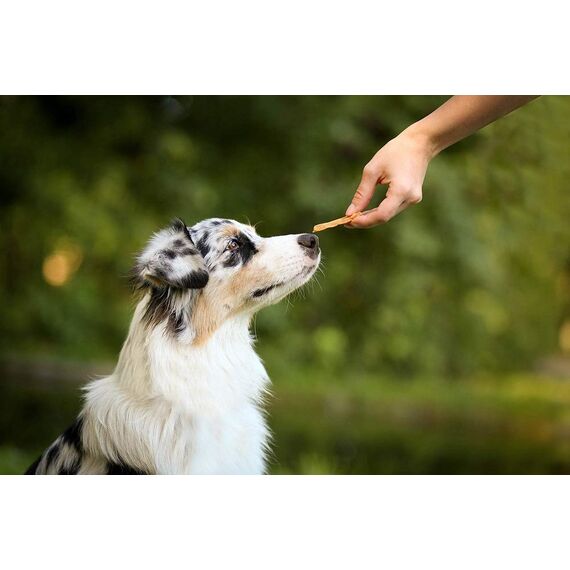 8in1 Fillets Pro Active Hunde-Snack mit Hähnchen, funktionale Leckerlis für Hunde, unterstützt die Mobilität, 80 g Beutel