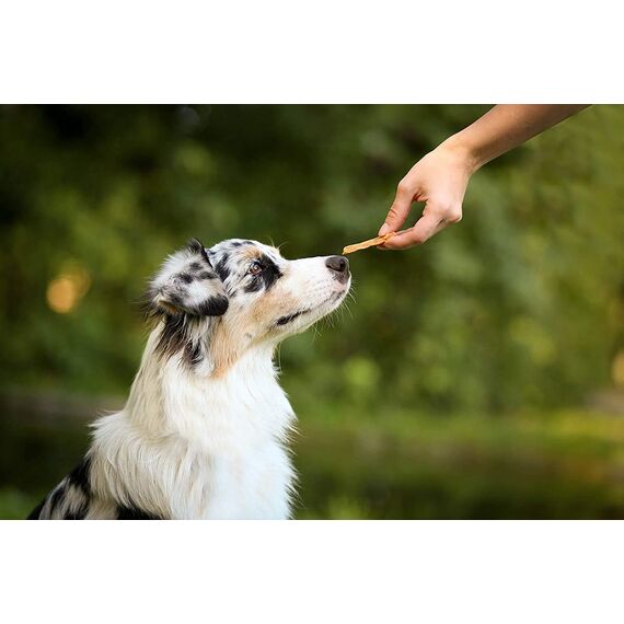 8in1 Fillets Pro Active Hunde-Snack mit Hähnchen, funktionale Leckerlis für Hunde, unterstützt die Mobilität, 80 g Beutel (Packung mit 2)
