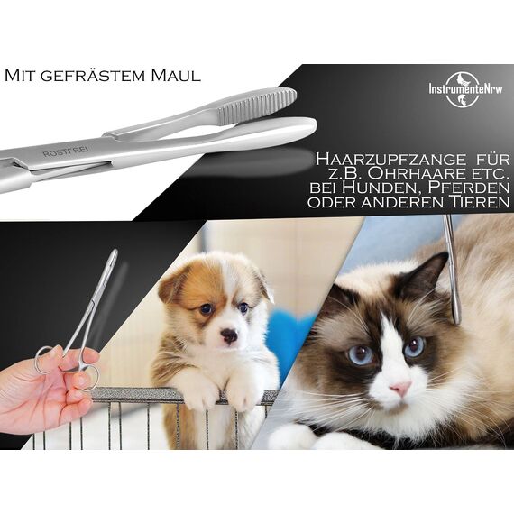 InstrumenteNrw Zupfzange für Hundeohren Haarzange Hunde Haarzupfzange Tierhaar-Entferner Edelstahl Rostfrei mit Innenzahnung ohne Sperre in Profi-Qualität (16 cm)