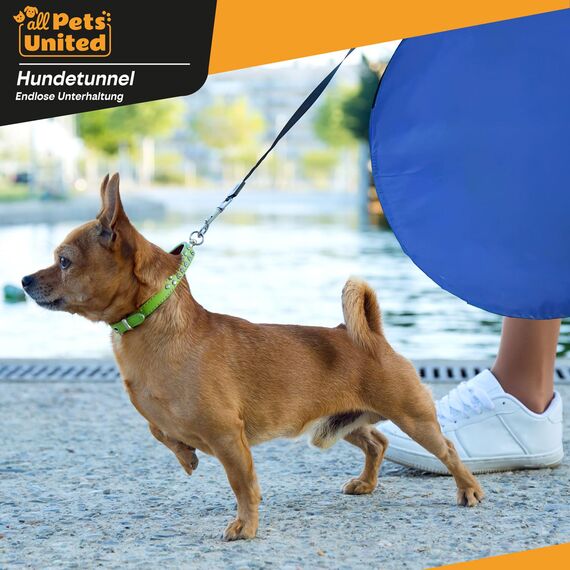 Hunde Agility Tunnel - Hundetunnel Spieltunnel Agilitytunnel Hundehöhle inkl Heringe und Transporttasche 300 x 50 cm
