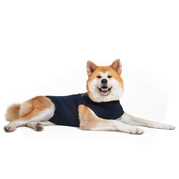 MPS Medical Pet Shirt, Hund, Blau, für große Hunde