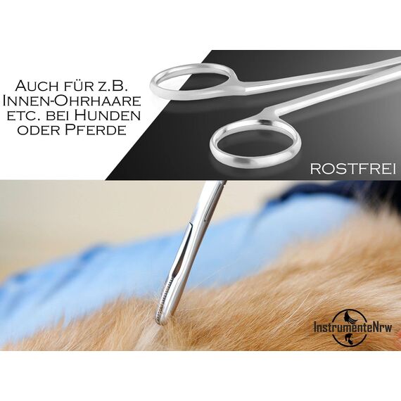 InstrumenteNrw Zupfzange für Hundeohren Haarzange Hunde Haarzupfzange Tierhaar-Entferner Edelstahl Rostfrei mit Innenzahnung ohne Sperre in Profi-Qualität (16 cm)