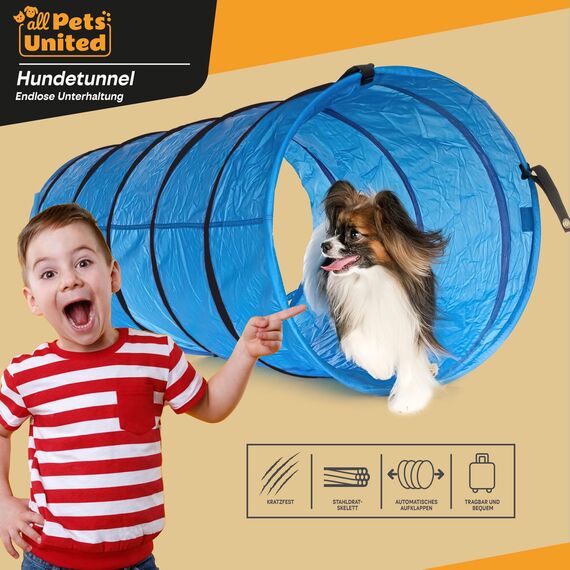 Hunde Agility Tunnel - Hundetunnel Spieltunnel Agilitytunnel Hundehöhle inkl Heringe und Transporttasche 300 x 50 cm