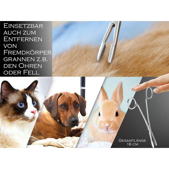 InstrumenteNrw Zupfzange für Hundeohren Haarzange Hunde Haarzupfzange Tierhaar-Entferner Edelstahl Rostfrei mit Innenzahnung ohne Sperre in Profi-Qualität (16 cm)