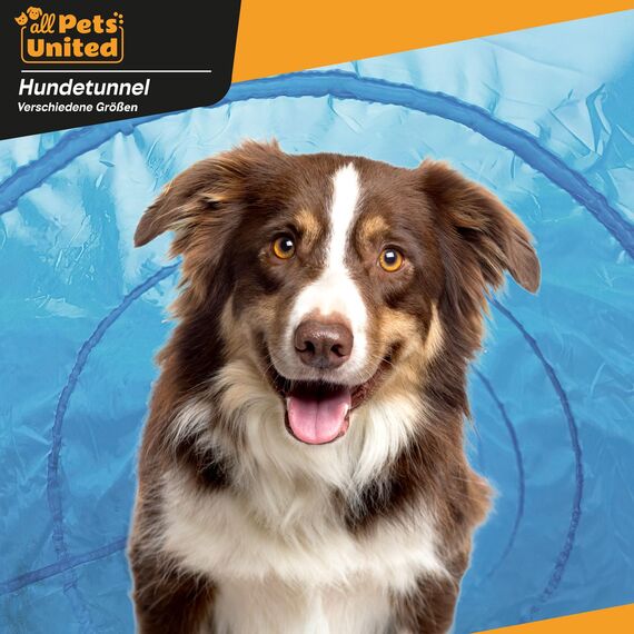 Hunde Agility Tunnel - Hundetunnel Spieltunnel Agilitytunnel Hundehöhle inkl. Heringe und Transporttasche (200 x 43 cm)