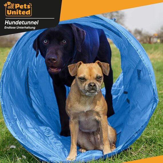 Hunde Agility Tunnel - Hundetunnel Spieltunnel Agilitytunnel Hundehöhle inkl Heringe und Transporttasche 300 x 50 cm