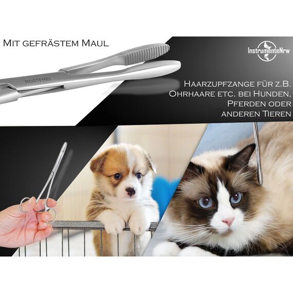 Zupfzange für Hundeohren Haarzange Hunde Haarzupfzange Tierhaar-Entferner Edelstahl Rostfrei mit Innenzahnung ohne Sperre in Profi-Qualität (20 cm)