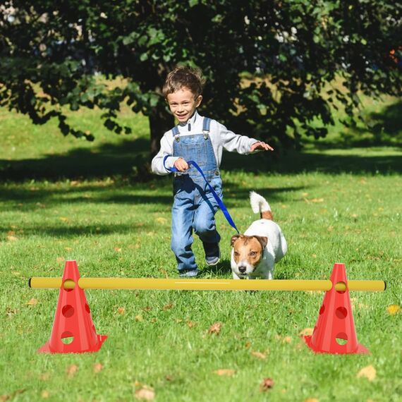ACXIN 6er Sports Steckhürdenset 12 Kegel + 6 Stangen Agility Hürden Steckhürden Set, Koordinationstraining für Kinder Hunde Teamsport Fussball, Multifunktionskegel | Höhe: 32 cm | Stange: 100 cm