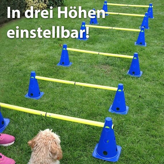 LionSports praktisches Steckhürdenset für Fußball, Hundesport, Pferdesport – Ideales Trainingszubehör, Fußballtraining, Pferd und Hunde - Profi Pylonen Set mit Hürden - Hindernisse Kegel