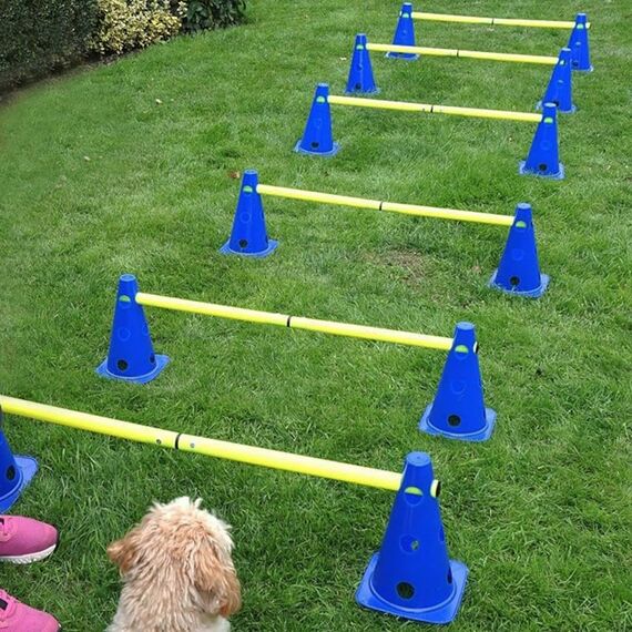 LionSports praktisches Steckhürdenset für Fußball, Hundesport, Pferdesport – Ideales Trainingszubehör, Fußballtraining, Pferd und Hunde - Profi Pylonen Set mit Hürden - Hindernisse Kegel