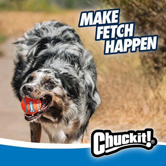 Chuckit – 12M Sportwerfer – Ballwerfer für Hunde – Ergonomischer Gummigriff – Weiche und robuste Kunststoffwerfer – Kompatibel mit Ball Medium – 12" Länge