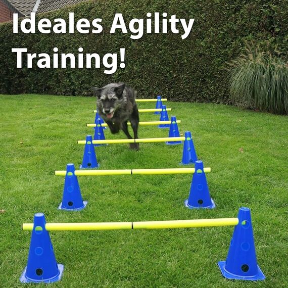 LionSports praktisches Steckhürdenset für Fußball, Hundesport, Pferdesport – Ideales Trainingszubehör, Fußballtraining, Pferd und Hunde - Profi Pylonen Set mit Hürden - Hindernisse Kegel