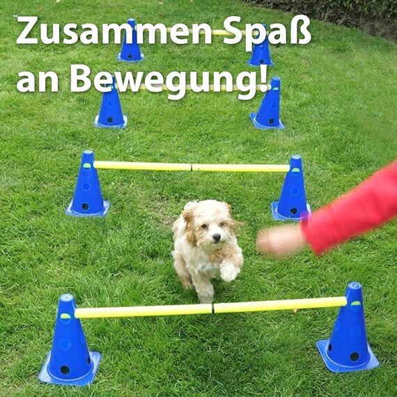 LionSports praktisches Steckhürdenset für Fußball, Hundesport, Pferdesport – Ideales Trainingszubehör, Fußballtraining, Pferd und Hunde - Profi Pylonen Set mit Hürden - Hindernisse Kegel