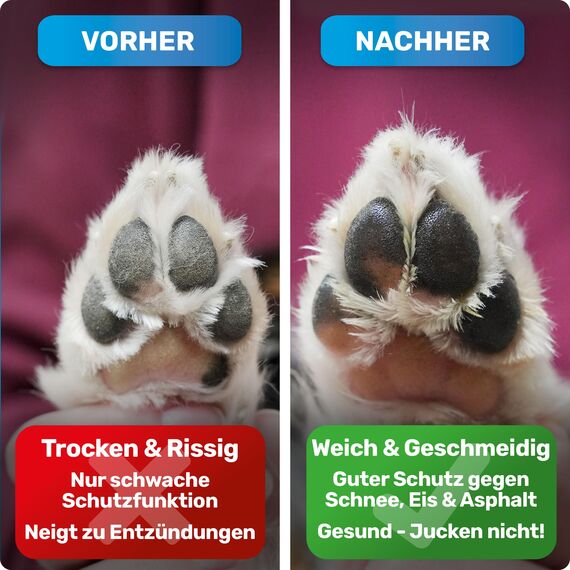 BluePet Pfotenbalsam Hund & Handcreme 50ml – Pfotenpflege Hund gegen trockene & rissige Pfoten und Nase – Natürlicher Schutz & Pflegebalsam für Hunde