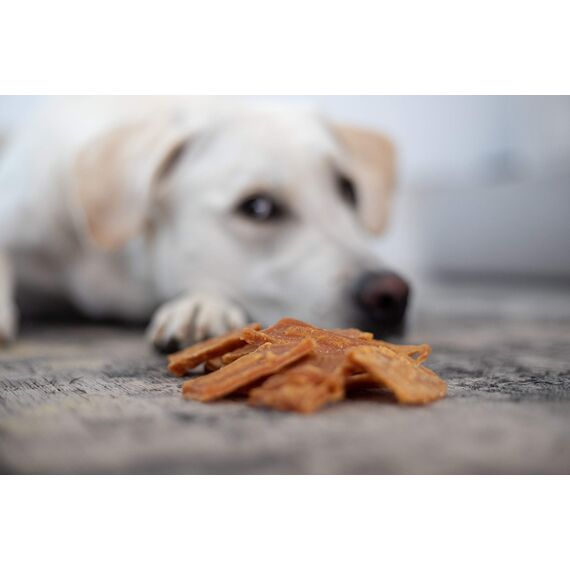 8in1 Fillets Pro Skin & Coat Hunde-Snack mit Hähnchen, funktionale Leckerlis für Hunde, aromatisiert mit Leinsamenöl, 80 g Beutel (Packung mit 2)