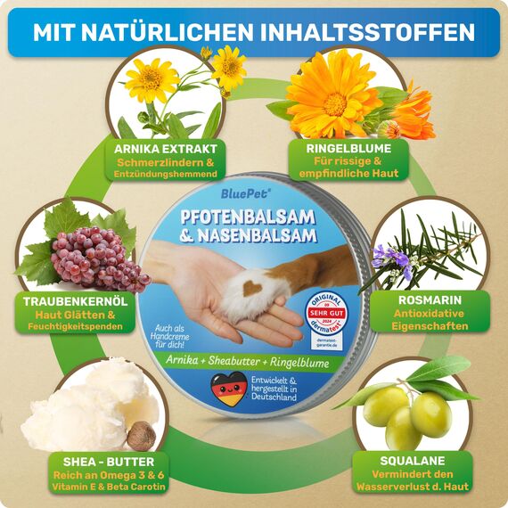 BluePet Pfotenbalsam Hund & Handcreme 50ml – Pfotenpflege Hund gegen trockene & rissige Pfoten und Nase – Natürlicher Schutz & Pflegebalsam für Hunde