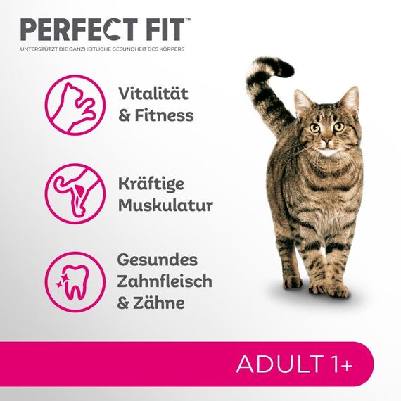 PERFECT FIT Adult Trockenfutter für erwachsene Katzen ab 1 Jahr - Huhn, 7 kg (1 Beutel)