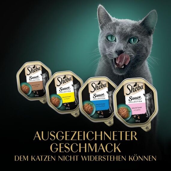 SHEBA Schale Nassfutter Multipack Mega-Pack Sauce Collection Feine Vielfalt MSC-Zertifiziert 32 x 85g