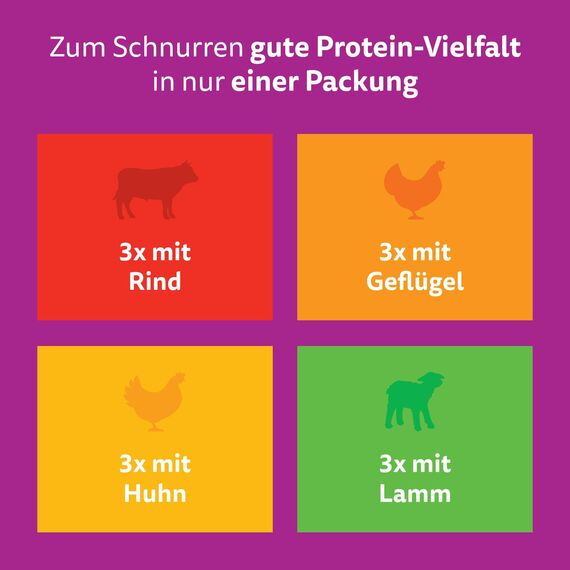 Whiskas Junior Katzennassfutter Klassische Auswahl in Sauce, 48 Portionsbeutel, 12x85g (4er Pack) – Hochwertiges Katzenfutter nass, für heranwachsende Katzen von 2 bis 12 Monaten