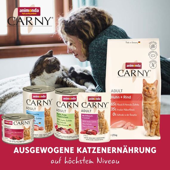 animonda Carny Katzen Trockenfutter mit Huhn + Forelle (1 x 350g), Getreide und Zuckerfreies Trockenfutter für ausgewachsene Katzen