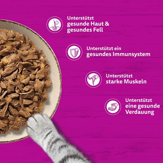Whiskas 1+ Katzennassfutter Ragout Geflügel Auswahl in Gelee, 40x85g (1 Packung) – Hochwertiges Nassfutter für ausgewachsene Katzen in 40 Portionsbeuteln