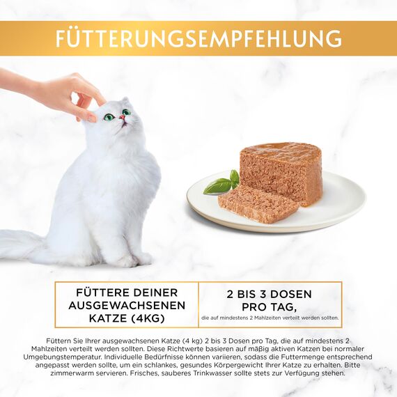 Gourmet Gold Feine Pastete mit Gemüse Katzenfutter nass, mit Forelle und Tomaten, 12er Pack (12 x 85g)