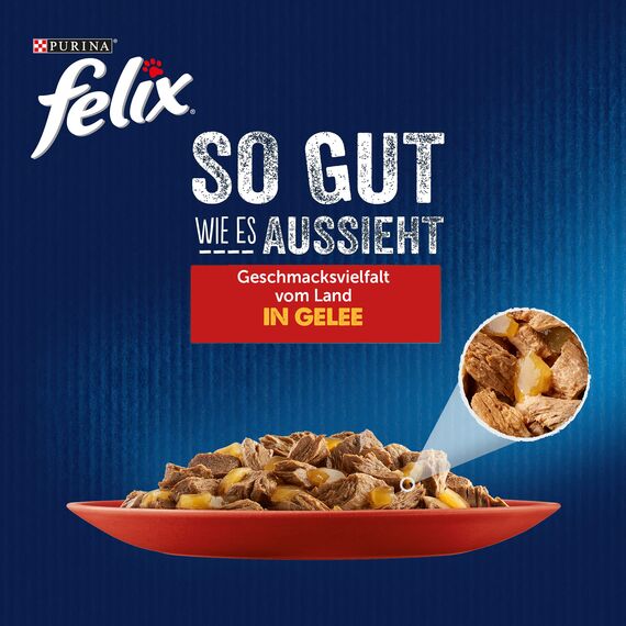 Felix So gut wie es aussieht Geschmacksvielfalt vom Land in Gelee Katzennassfutter, 44er Pack (44 x 85g)